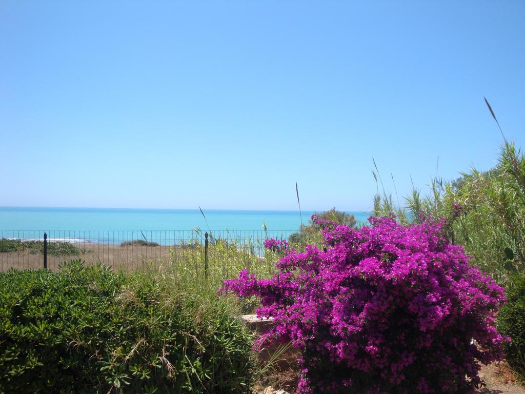 Villa Cala Vigliena Il Sole Negli Occhi Punta Braccetto Habitación foto